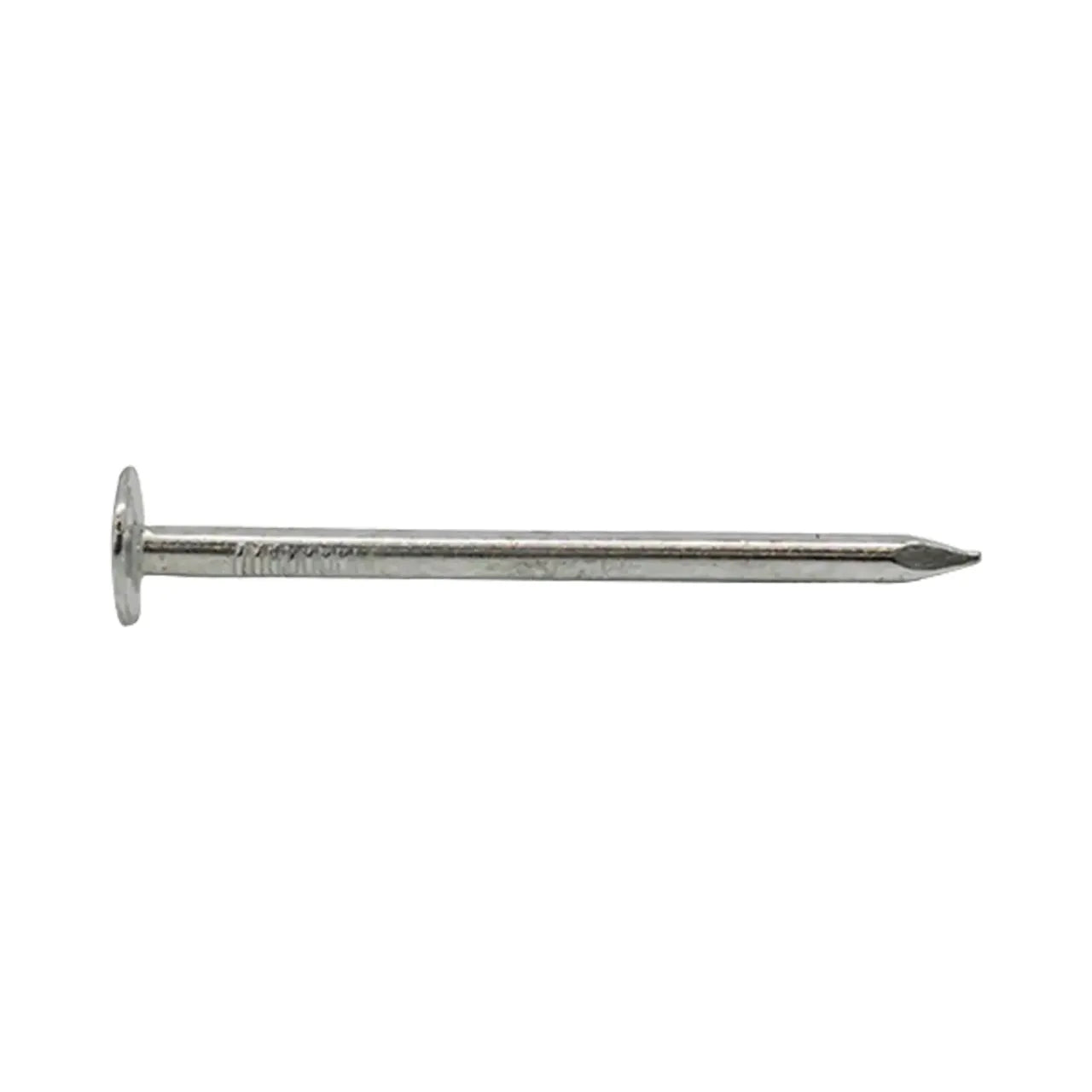 2 in. Electro-Galvanized Metal Roofing Nail (25 lbs/Pack)